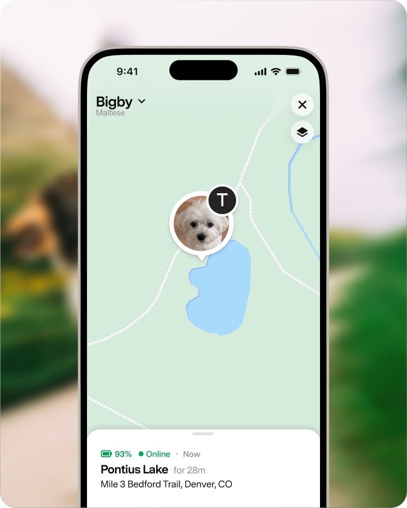 The Fi app showing a dog’s live location on a map near a lake