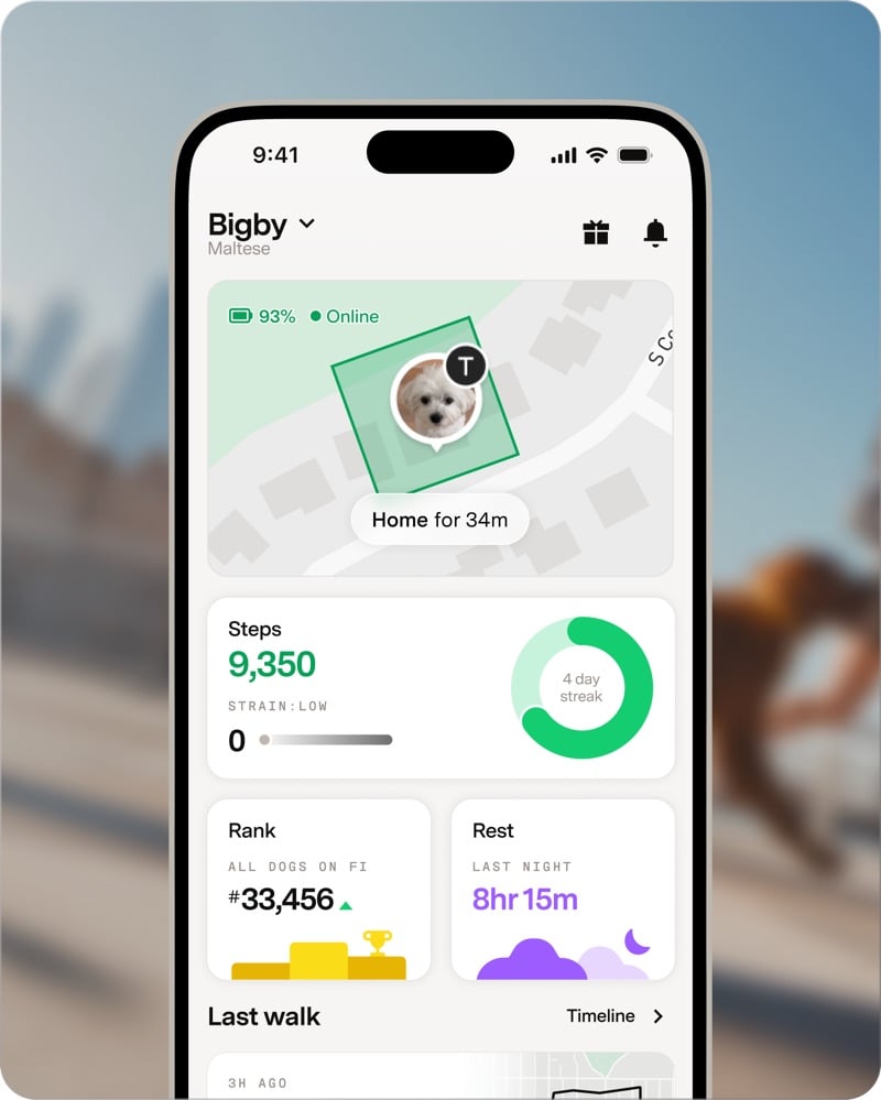 The Fi app showing a dog’s live location, step count and rest summary