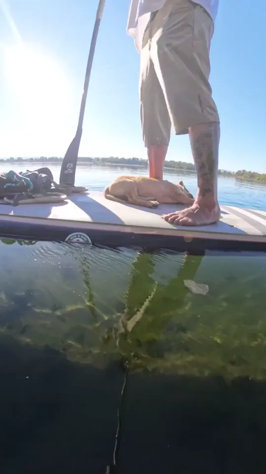 Tough day on the lake for Betsy.